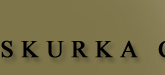 Skurka Chiropractic Centers located in Nassau County and Suffolk County Long Island New York in Islip, Amityville, Huntington and Glen Cove. Dr. Christopher D. Skurka is the first chiropractor on Long Island to perform MUA (Manipulation Under Anesthesia) and to be admitted to the medical staff, Department of Orthopedic Surgery, North Shore-Long Island Jewish Health System, North Shore University Hospital at Glen Cove, New York.